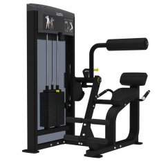 AeroFit IF9332 Разгибание спины из каталога грузоблочных тренажеров в Воронеже по цене 309100 ₽