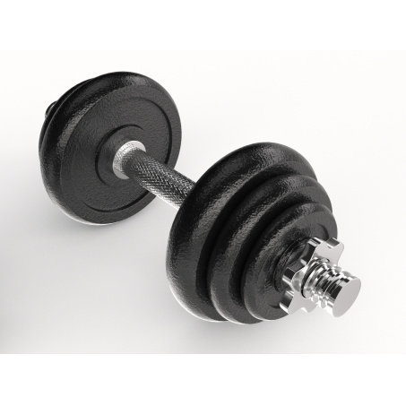 Рендер-3 для UnixFit в кейсе 50 кг.