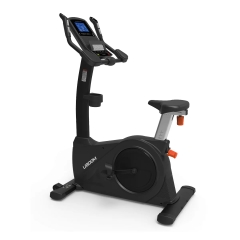 Bronze Gym U800M (new)