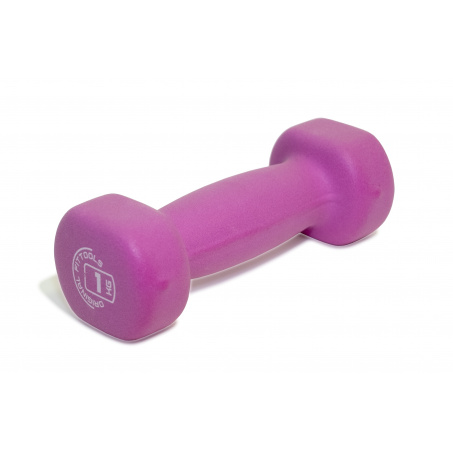 Рендер-0 для Original FitTools 1 кг. розовый FT-NDB-1