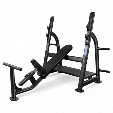 Рендер-0 для Bronze Gym BR-1014 наклонная