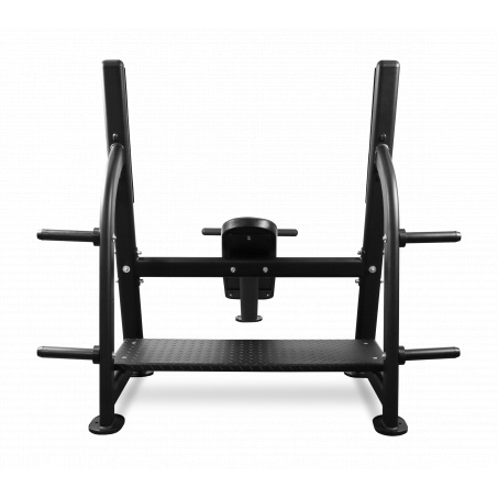 Рендер-2 для Bronze Gym BR-1014 наклонная