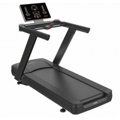 X-8600P в Воронеже по цене 288633 ₽ в категории беговые дорожки DHZ