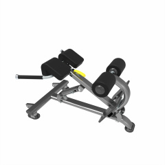 UltraGym UG-KJ1258 из каталога гиперэкстензий в Воронеже по цене 61030 ₽