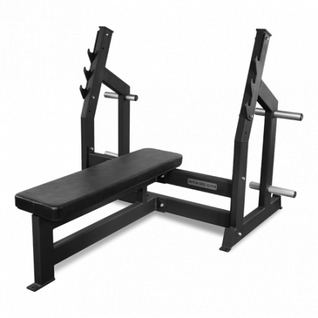 Рендер-0 для Bronze Gym AL-304 горизонтальная со стойками