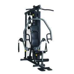 Horizon Home Gym Torus 3 из каталога мультистанций в Воронеже по цене 234580 ₽
