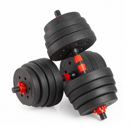 Рендер-0 для VictoryFit 25 кг. (2х 2,5) VF-DC250