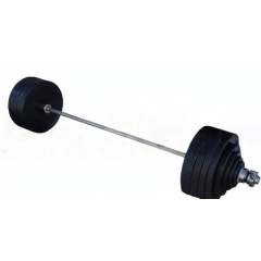 ProfyGym ШП-004 рекордная олимпийская 282.5 в наборе из каталога штанг в Воронеже по цене 158605 ₽
