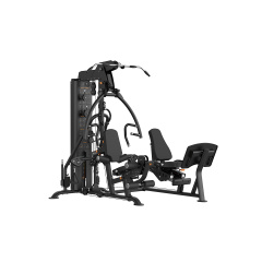 Hasttings Digger HG09+HG09-LP с жимом ногами из каталога мультистанций в Воронеже по цене 668600 ₽