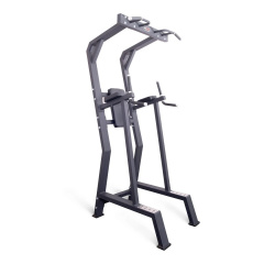 Protrain HC5019 из каталога тренажеров с собственным весом  в Воронеже по цене 111150 ₽