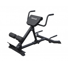 DFC MAXXUS GSMX-600417-00019-0001 из каталога тренажеров для спины  в Воронеже по цене 21990 ₽
