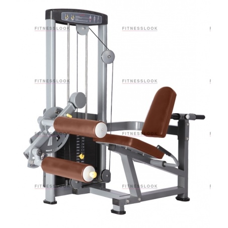 Рендер-0 для Bronze Gym D-013 - сгибание ног сидя