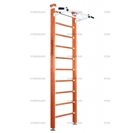 Рендер-0 для Kampfer Swedish ceiling