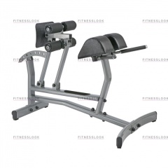 AeroFit Neo NRCH из каталога тренажеров римский стул в Воронеже по цене 39270 ₽