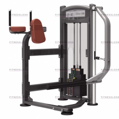 AeroFit IT9326 - ягодичные мышцы из каталога грузоблочных тренажеров в Воронеже по цене 155640 ₽