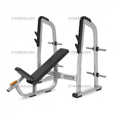 Рендер-0 для Precor DBR410 - со стойками