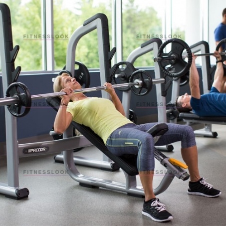 Рендер-1 для Precor DBR410 - со стойками