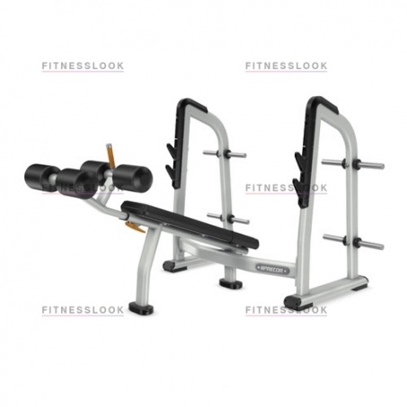 Рендер-0 для Precor DBR411- со стойками