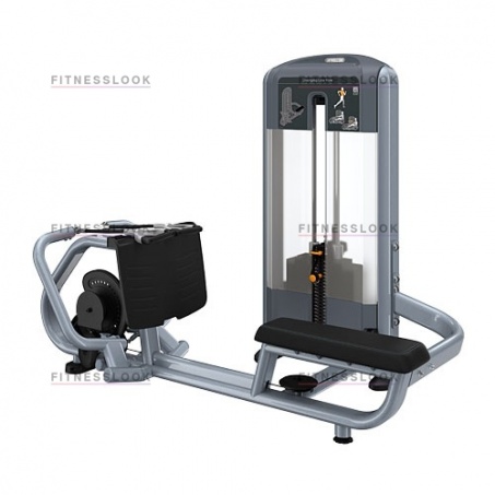 Рендер-0 для Precor DSL324 - дивергентная тяга гребная