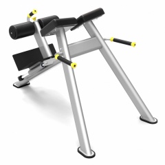 Protrain 61A43 из каталога гиперэкстензий в Воронеже по цене 74040 ₽