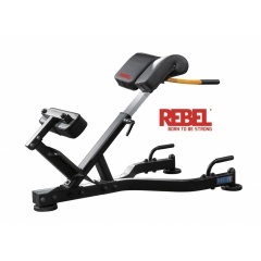 Rebel P3 из каталога тренажеров для спины  в Воронеже по цене 39990 ₽