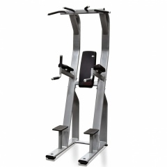Protrain V8-304 из каталога стоек турник брусья-пресс в Воронеже по цене 126820 ₽
